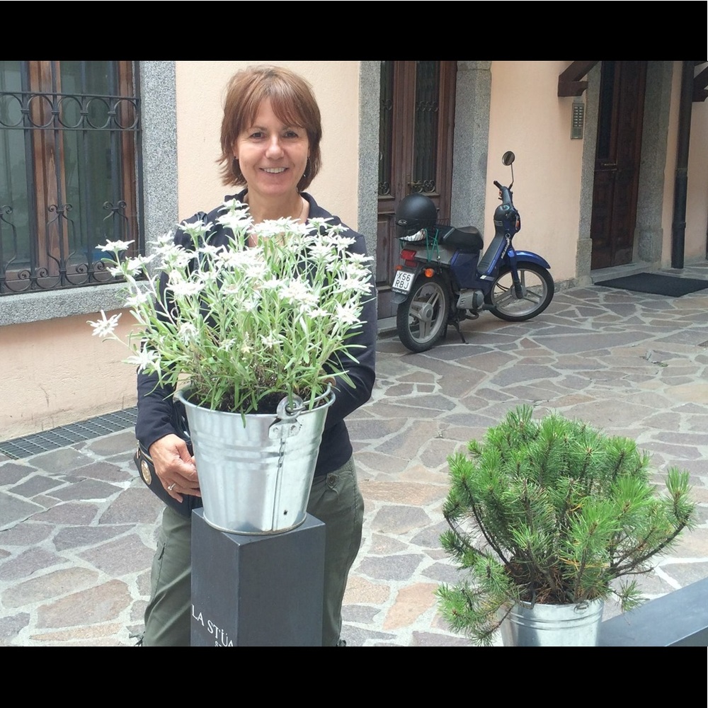 Meet your Posher, Dolores